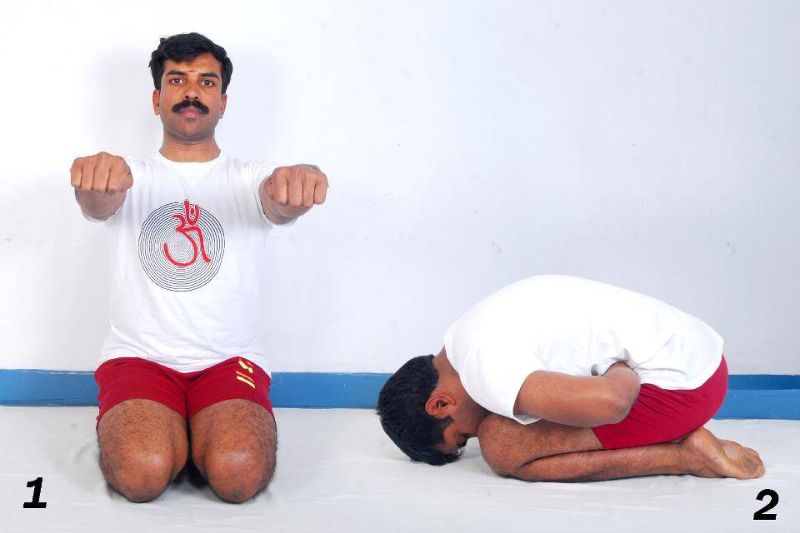 Mandukasana